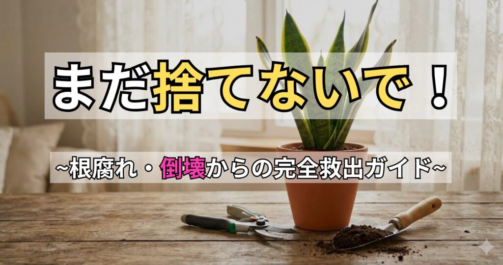 サンスベリアが根元から倒れる原因と復活法を解説するアイキャッチ画像。「まだ捨てないで！根腐れ・倒壊からの完全救出ガイド」というテキストとともに、再生に必要な剪定バサミや土が写っている。