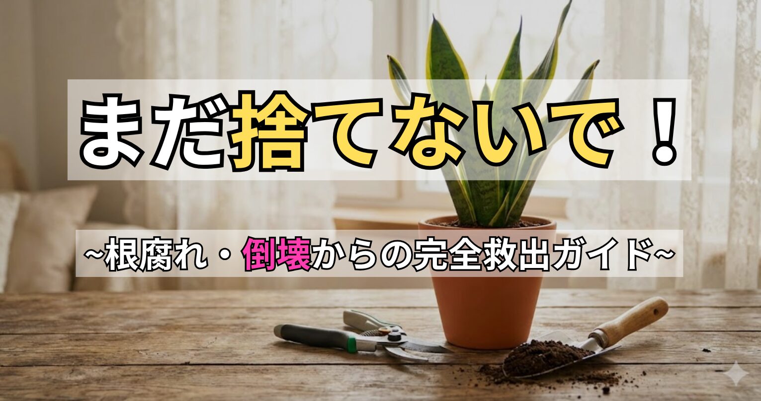 サンスベリアが根元から倒れる原因と復活法を解説するアイキャッチ画像。「まだ捨てないで！根腐れ・倒壊からの完全救出ガイド」というテキストとともに、再生に必要な剪定バサミや土が写っている。