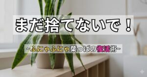 サンスベリアの葉がふにゃふにゃで倒れている写真。「まだ捨てないで!ふにゃふにゃ葉っぱの復活術」という文字入りのアイキャッチ画像。