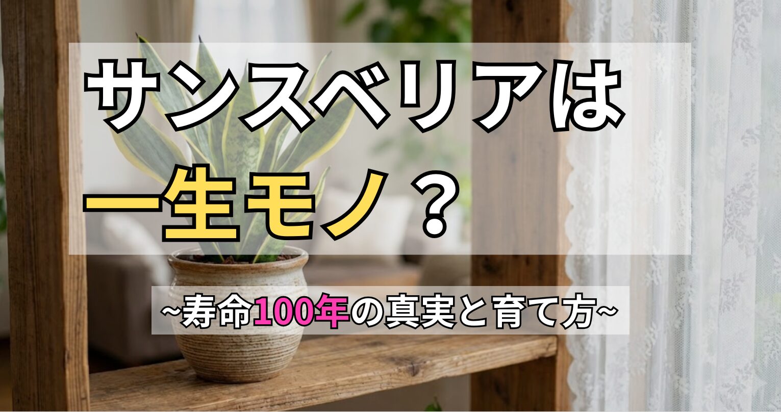 明るい窓辺の木製棚に置かれた、陶器鉢植えの健康的なサンスベリア。寿命を10年以上延ばす育て方と枯れる原因を解説する記事のアイキャッチ画像。