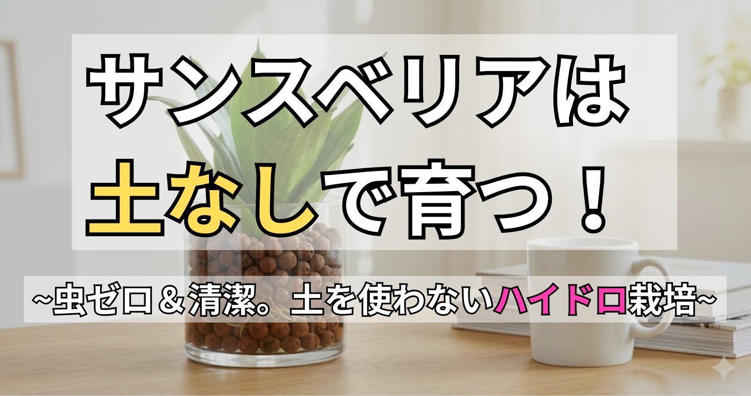ハイドロボールを入れたガラス容器で育つサンスベリアのアイキャッチ画像。「サンスベリアは土なしで育つ!虫ゼロ&清潔。土を使わないハイドロ栽培」と書かれています。