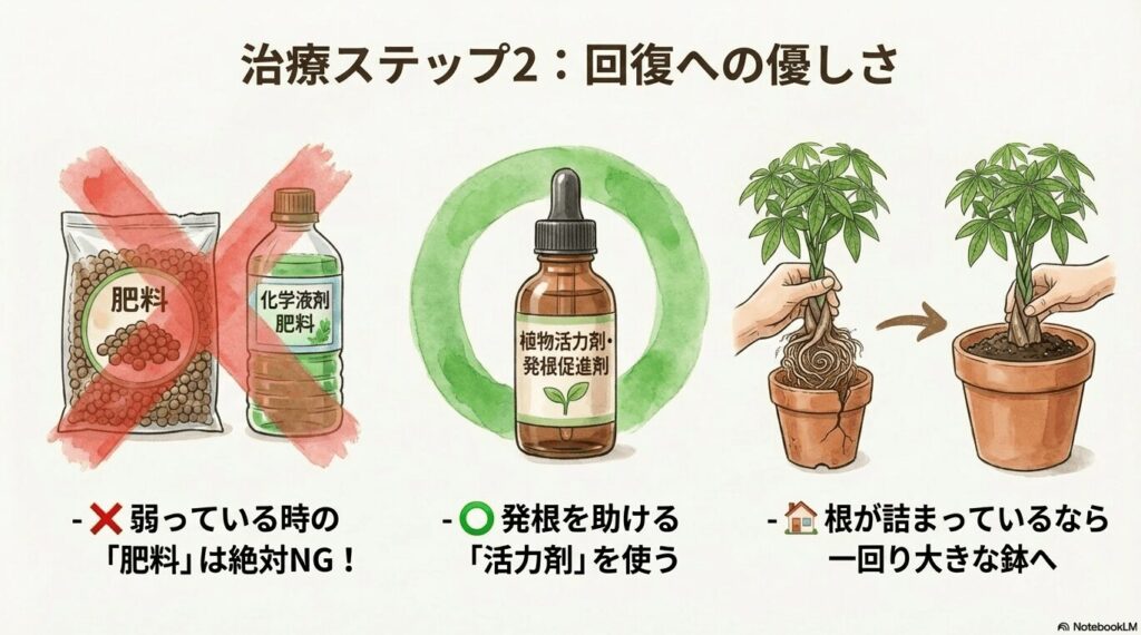 弱っているパキラには絶対NGな化学肥料と、発根を助けるためにおすすめな活力剤の比較