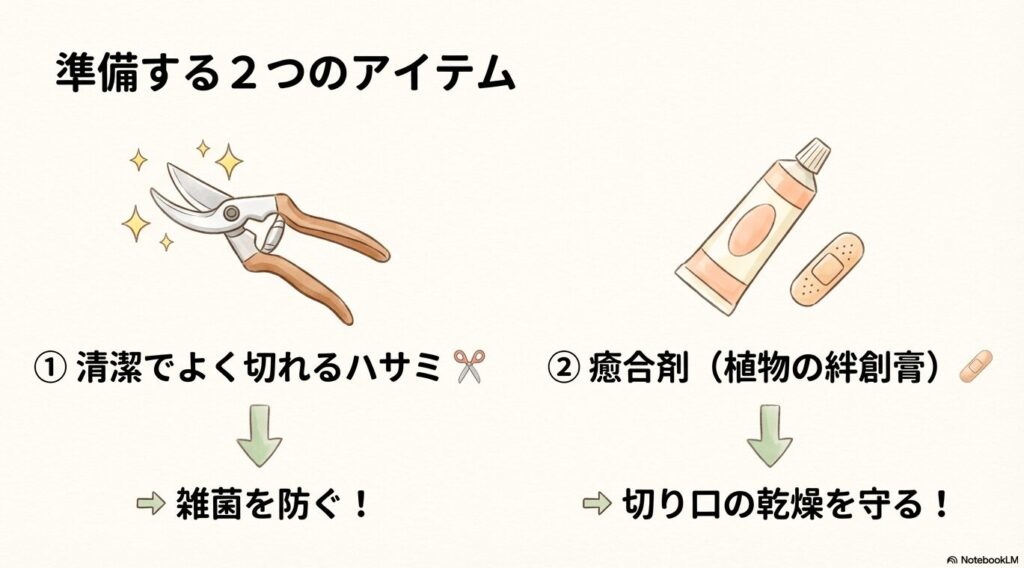 パキラの剪定の失敗を防ぐために準備する清潔なハサミと癒合剤