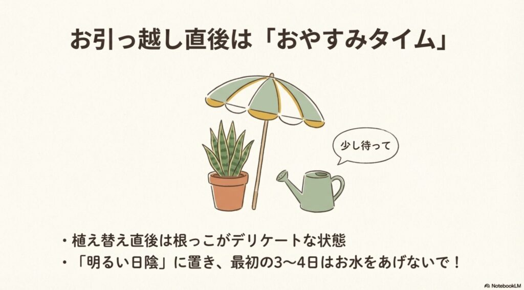 日傘の下で休むサンスベリアと「少し待って」と話すジョウロのイラスト。植え替え直後のデリケートな根っこのため、明るい日陰に置き最初の3〜4日は水をあげないよう注意喚起。