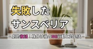 「失敗したサンスベリア 〜劇的復活！株分け後のNG行動と対処法〜」という文字が書かれた、サンスベリアの株分けで失敗する原因と対処法を解説する記事のアイキャッチ画像。