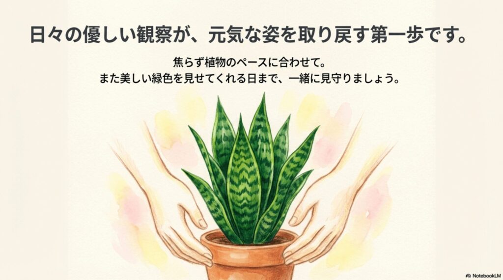 元気なサンスベリアの鉢を、両手で優しく包み込むように持っているイラスト