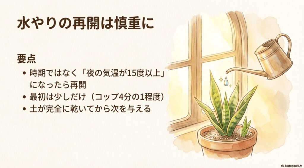 サンスベリアの水やりの再開は慎重に。夜の気温が15度以上になったら、土が完全に乾いたのを確認してコップ4分の1程度の少量から再開する