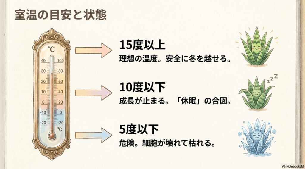 サンスベリアの冬の室温目安。15度以上は安全、10度以下で休眠の合図、5度以下は細胞が壊れる危険な温度を示す温度計