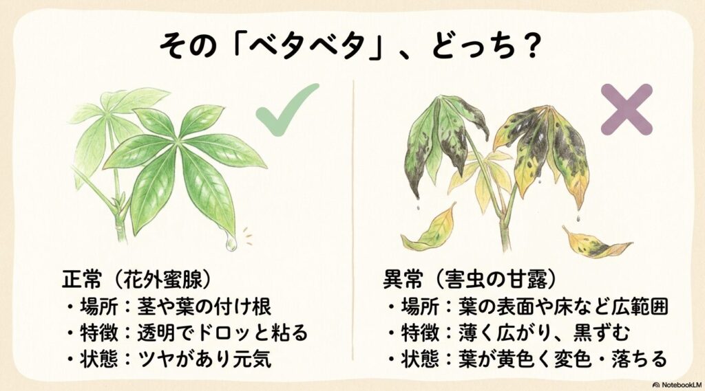 正常な樹液（花外蜜腺）と異常な樹液（害虫の甘露）の特徴を比較した図解