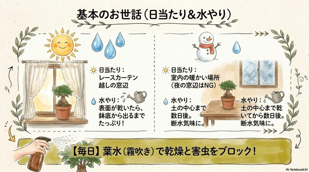 ガジュマルの基本のお世話。日当たりはレースカーテン越しの窓辺に置き、水やりは表面が乾いたら鉢底から出るまでたっぷりと与える。冬は断水気味にし、毎日の葉水で乾燥と害虫をブロックするルール。