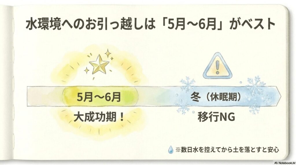 5月から6月を大成功期、冬を休眠期として移行NG期間を示すカレンダー形式の図解