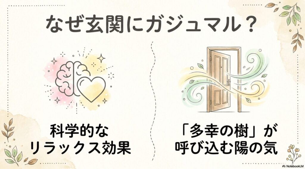 なぜ玄関にガジュマルを置くのかを示す図解。科学的なリラックス効果を表す脳とハートのイラストと、「多幸の樹」が呼び込む陽の気として玄関から風が入るイラスト。