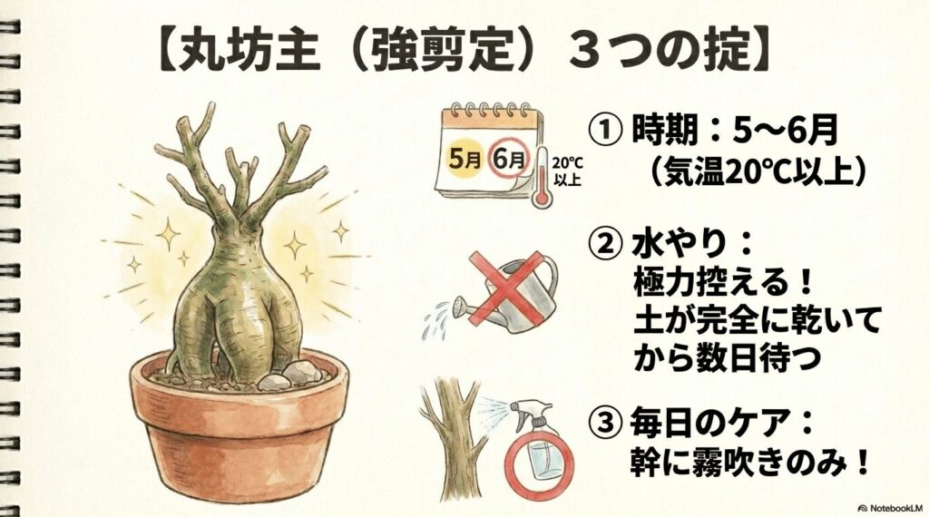 丸坊主にしたガジュマルから新芽が出ているイラストと、強剪定を成功させるための3つの掟（5〜6月の20℃以上、水やりを控える、幹への霧吹き）をまとめたスライド画像。
