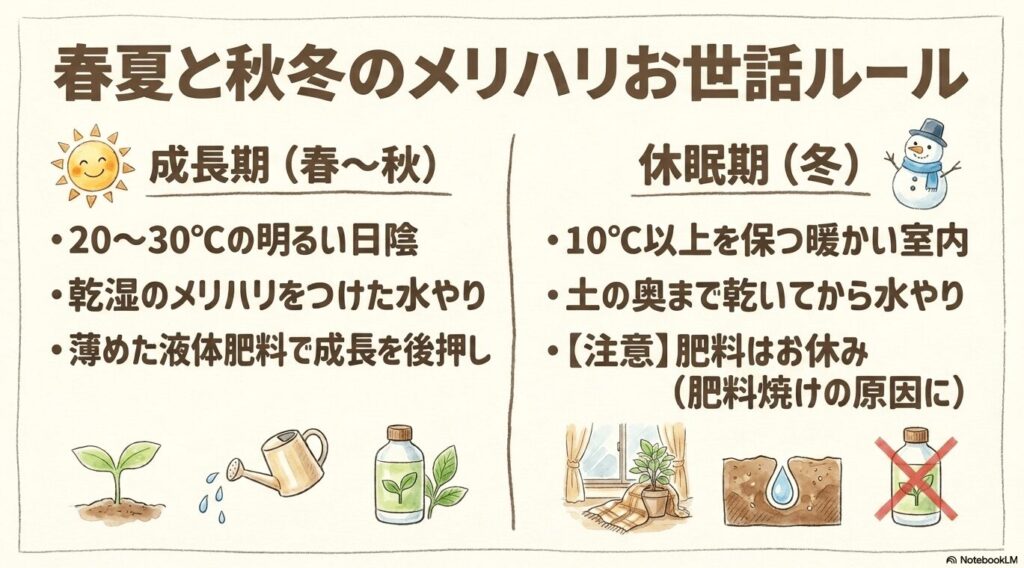 春夏（成長期）と秋冬（休眠期）のお世話ルールの違いをまとめたイラスト。成長期は20〜30℃の明るい日陰で乾湿のメリハリをつけて水と液体肥料を与え、休眠期は10℃以上の室内で乾燥気味に管理し肥料を休むことが書かれています。