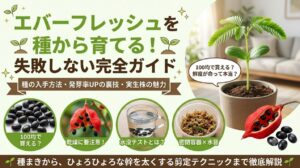 記事「エバーフレッシュを種から育てる完全ガイド」のアイキャッチ画像。発芽したエバーフレッシュの幼苗を中心に、赤い莢（さや）と黒い種、水没テストや密閉容器を使った種まきの手順などが図解されています。
