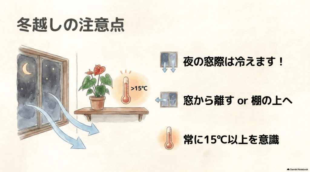夜の窓際から冷気が入る様子と、窓から離した棚の上に置かれたアンスリウムを描いた図。夜の窓際は冷えるため、常に15度以上を意識するよう説明している