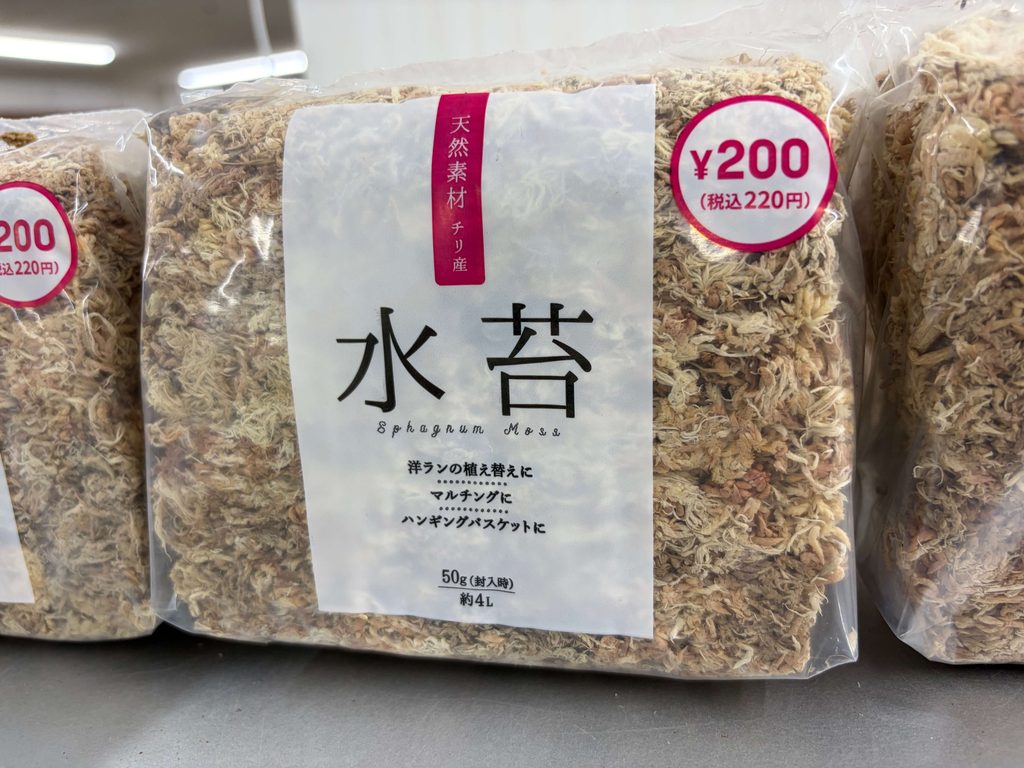 100均ダイソーで販売されている洋ランの植え替えなどに使う水苔(200円商品)