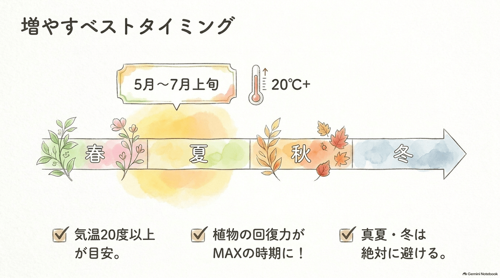 温度計と春夏秋冬を表すイラスト。「増やすベストタイミング5月〜7月上旬」「気温20度以上が目安」「真夏・冬は絶対に避ける」というテキスト。