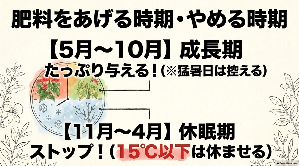 5月〜10月の成長期は肥料をたっぷり与え、11月〜4月の休眠期(15℃以下)は肥料をストップすることを表したカレンダー風の解説図